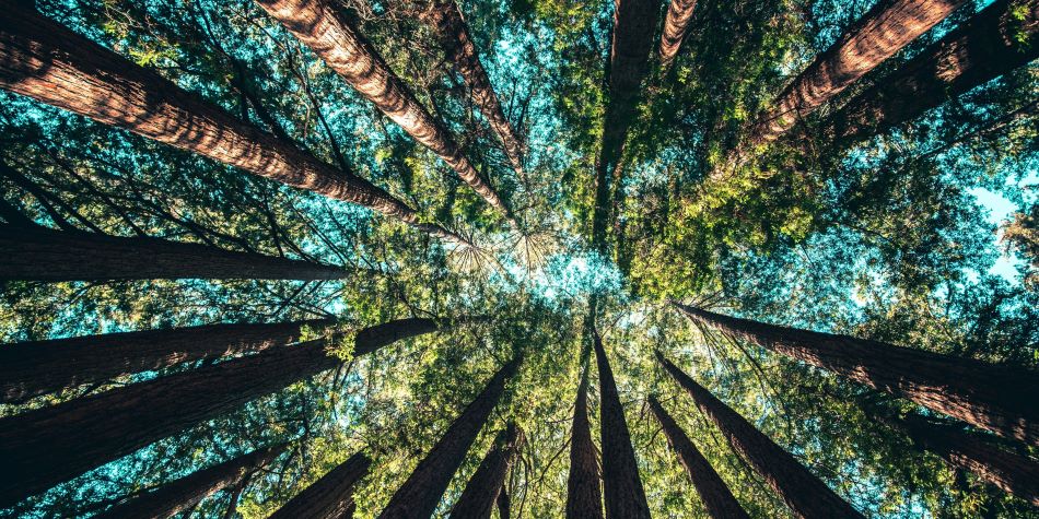 Sustainability drive sees JELD-WEN carbon emissions fall by 10%