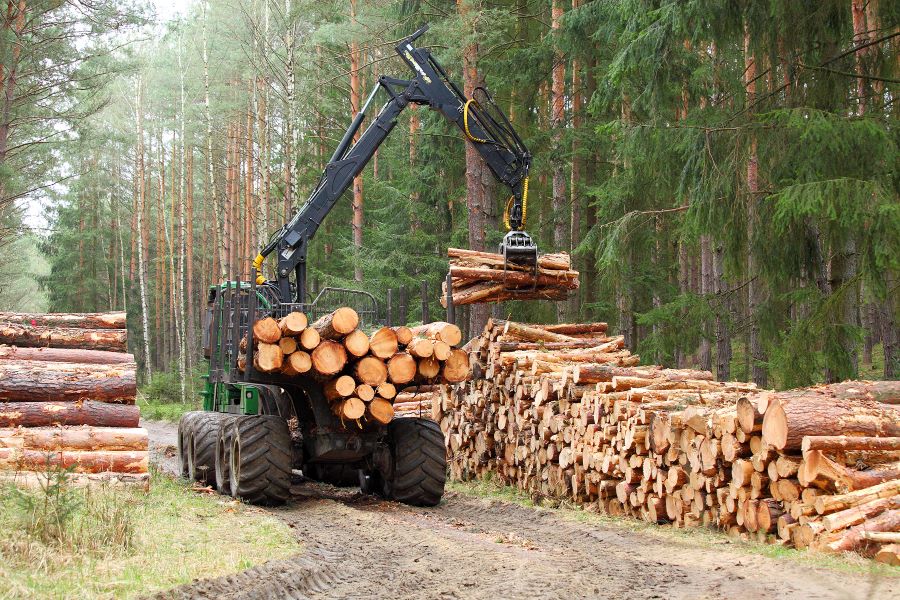 A digger with some timber.
