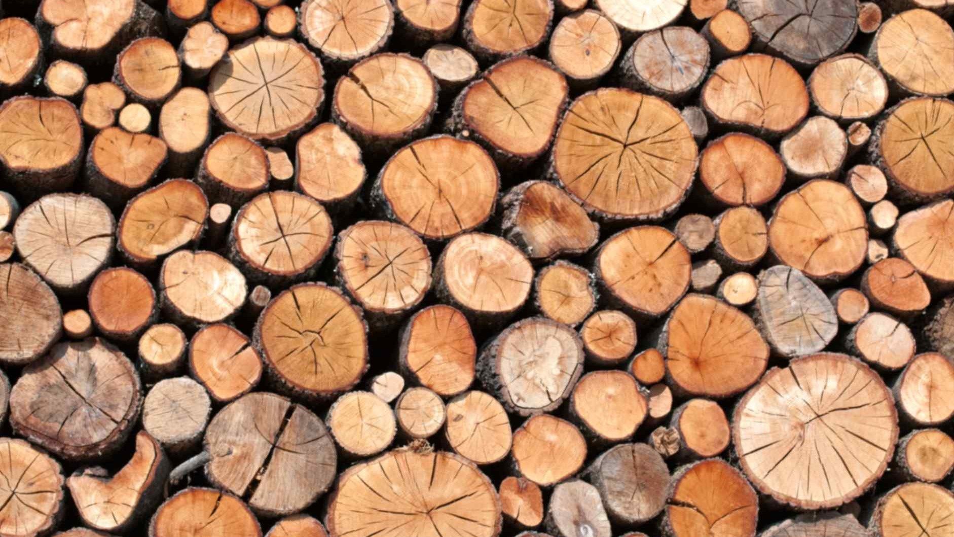 stock-log